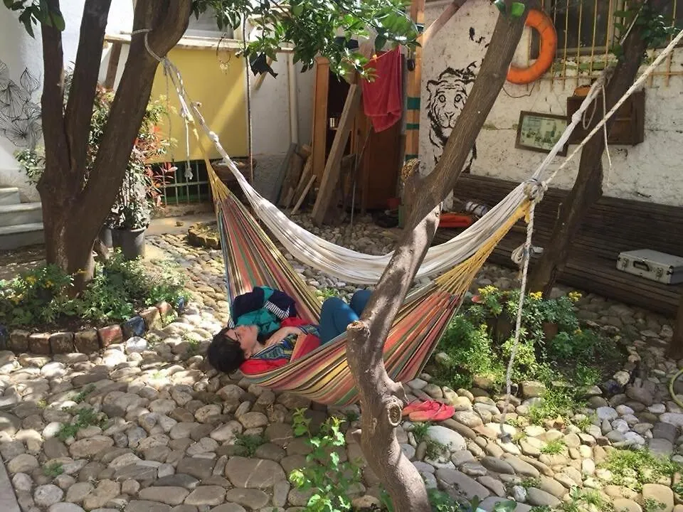 Tirana Backpacker Hostel