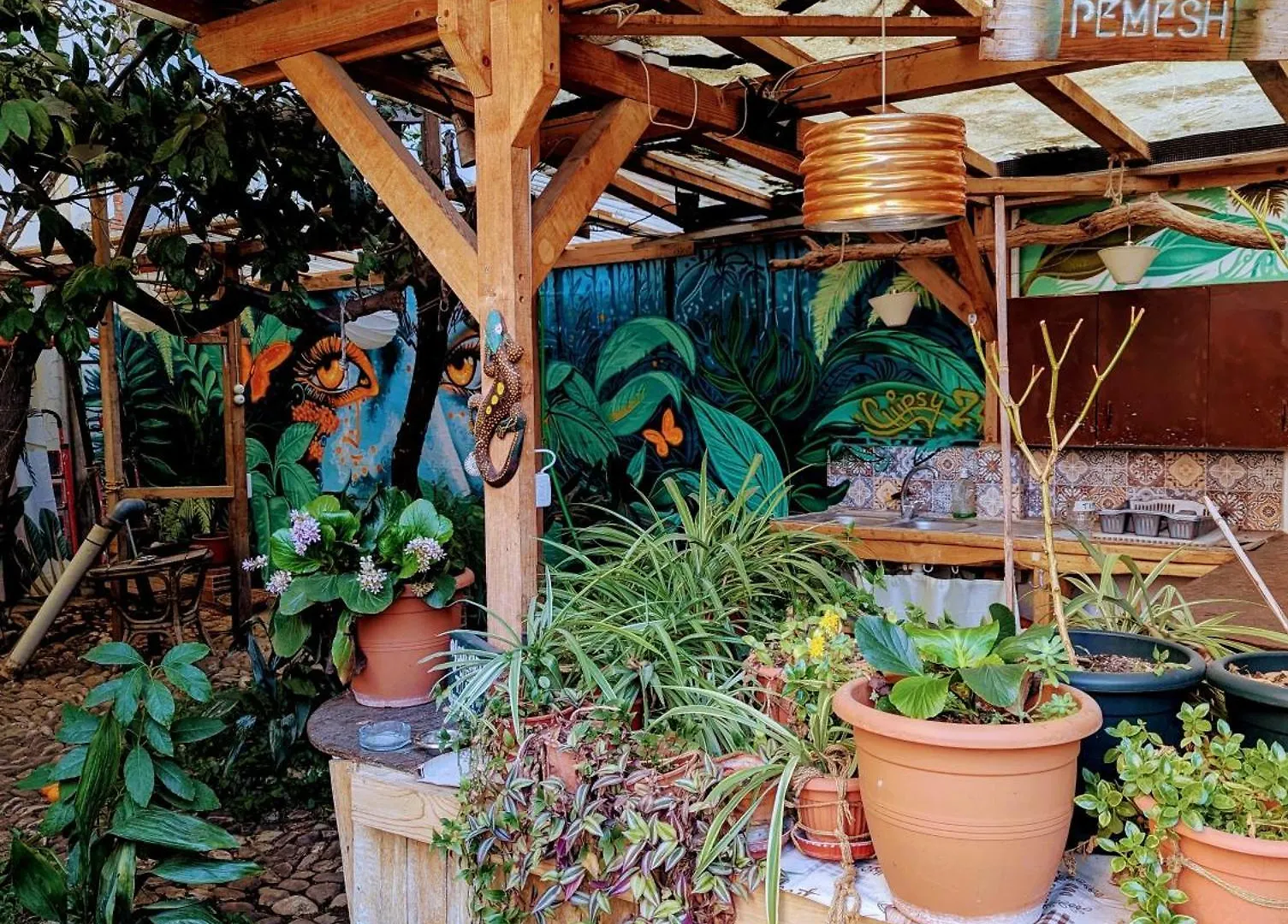 Tirana Backpacker Hostel