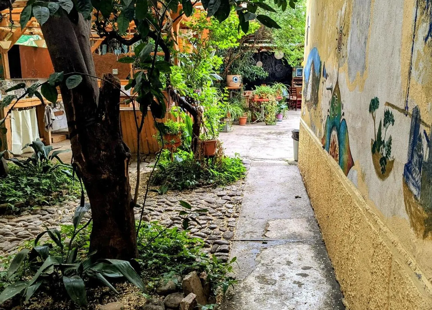 Tirana Backpacker Hostel
